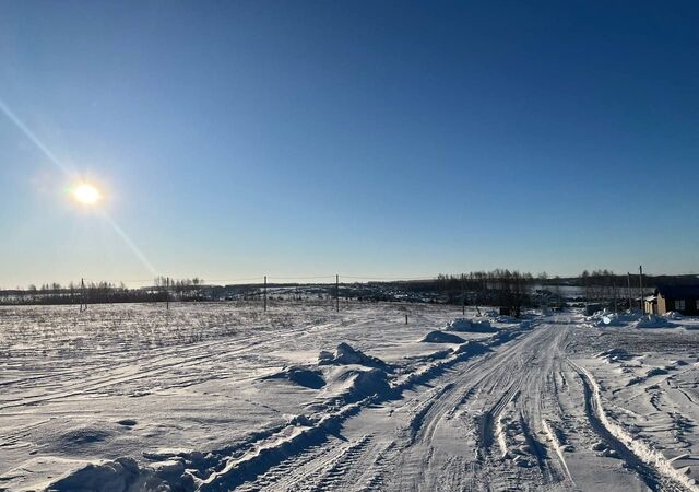 земля пл Дворцовая фото