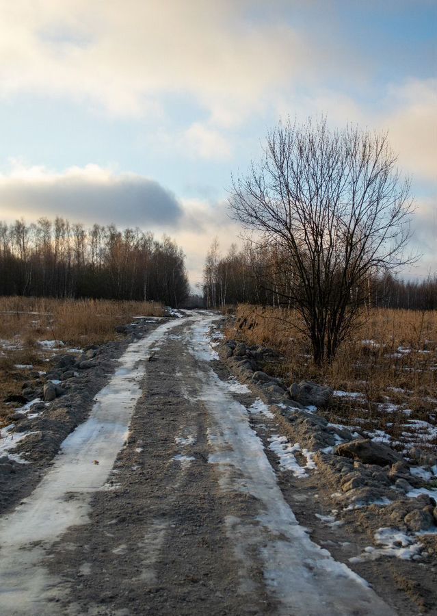 земля р-н Заокский рп Заокский фото 2