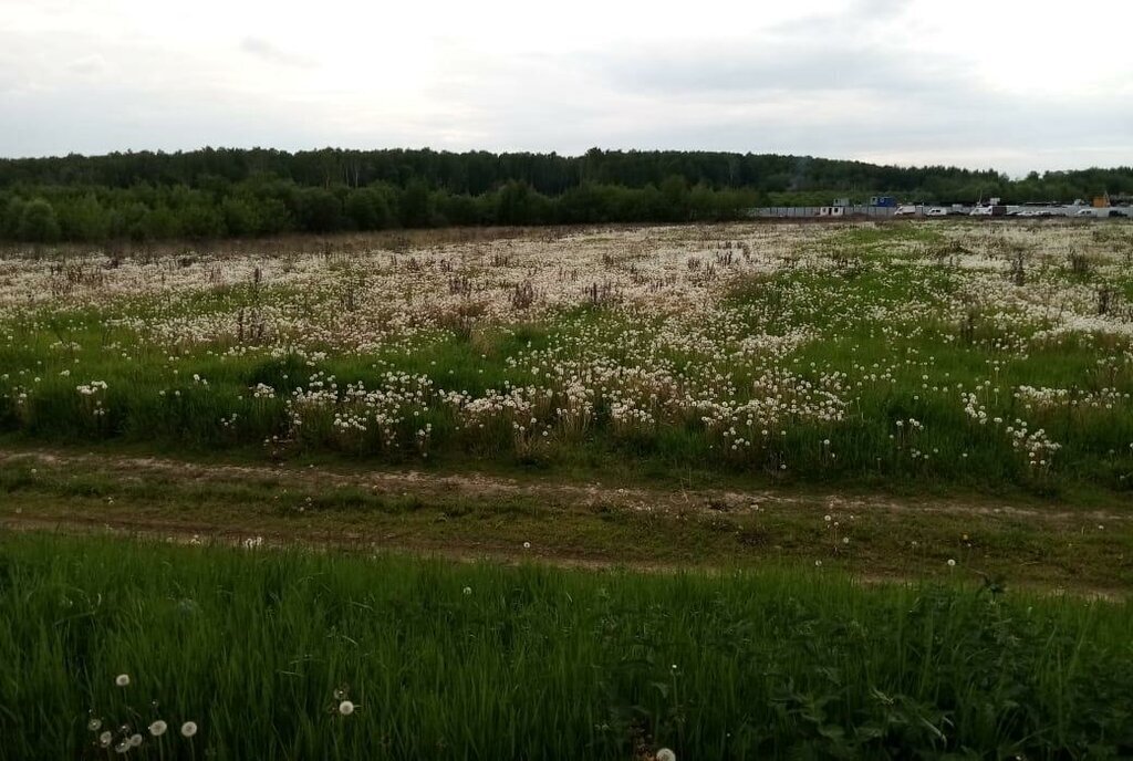 офис городской округ Ленинский с Булатниково Покровское фото 1