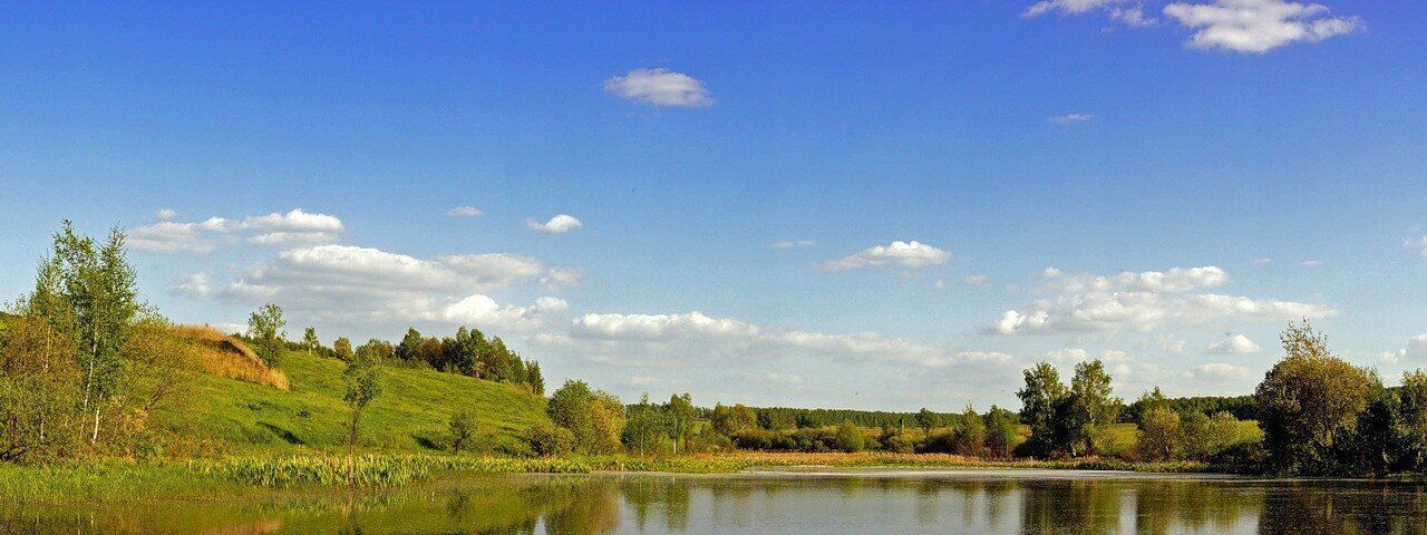 земля городской округ Ступино с Семёновское ул Больничная фото 4