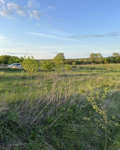 направление Казанское (юго-восток) ш Новорязанское 81 км, район Сандыри, Коломна фото