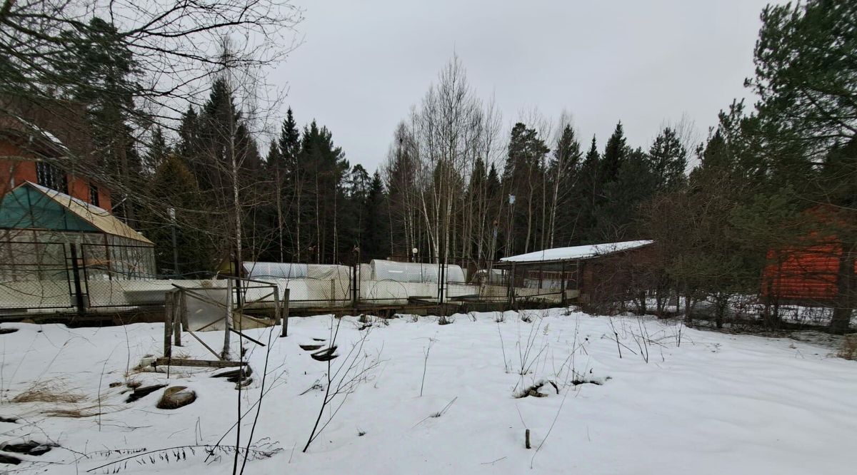 дом городской округ Пушкинский п Зеленоградский снт Связист фото 5