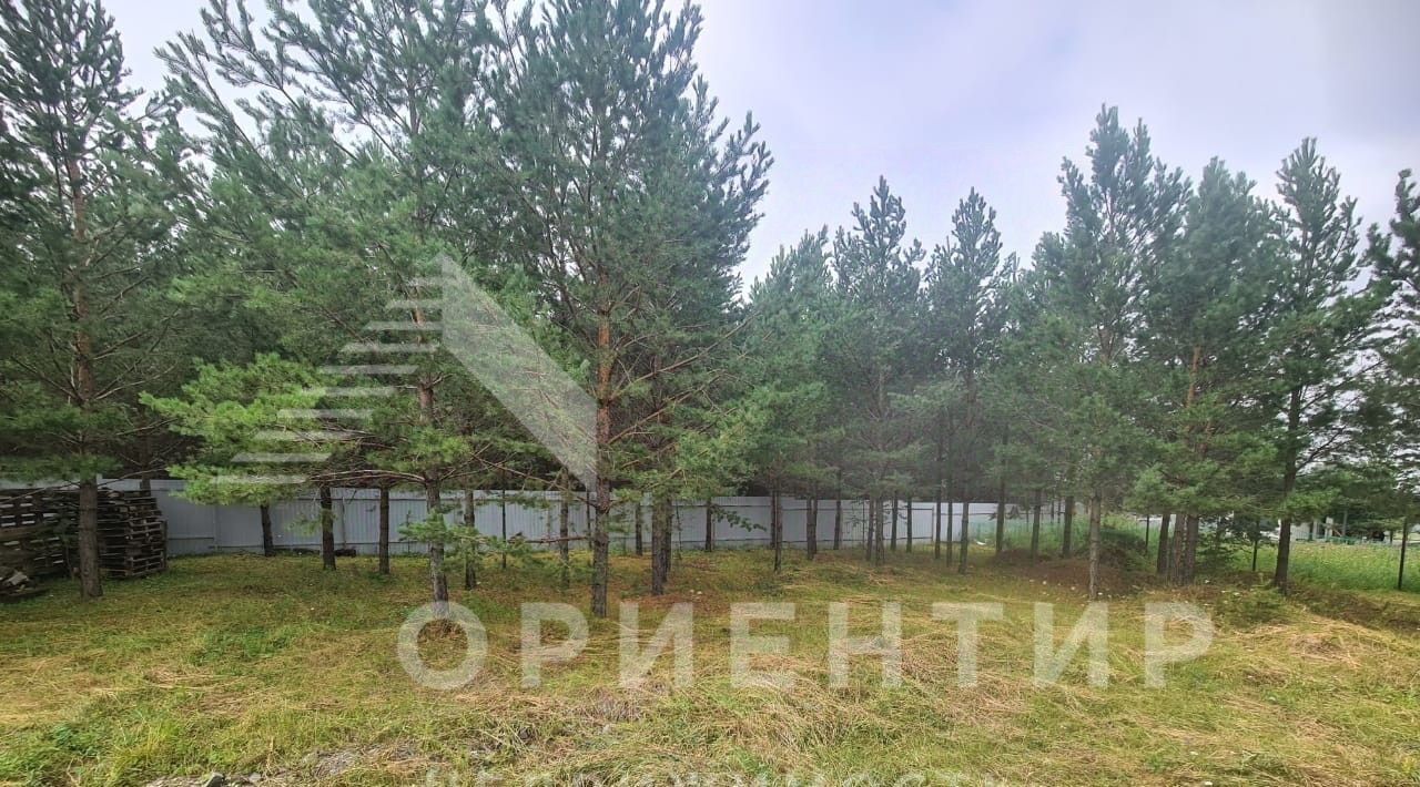 земля р-н Сысертский днп Разгуляй ДП 2 фото 12