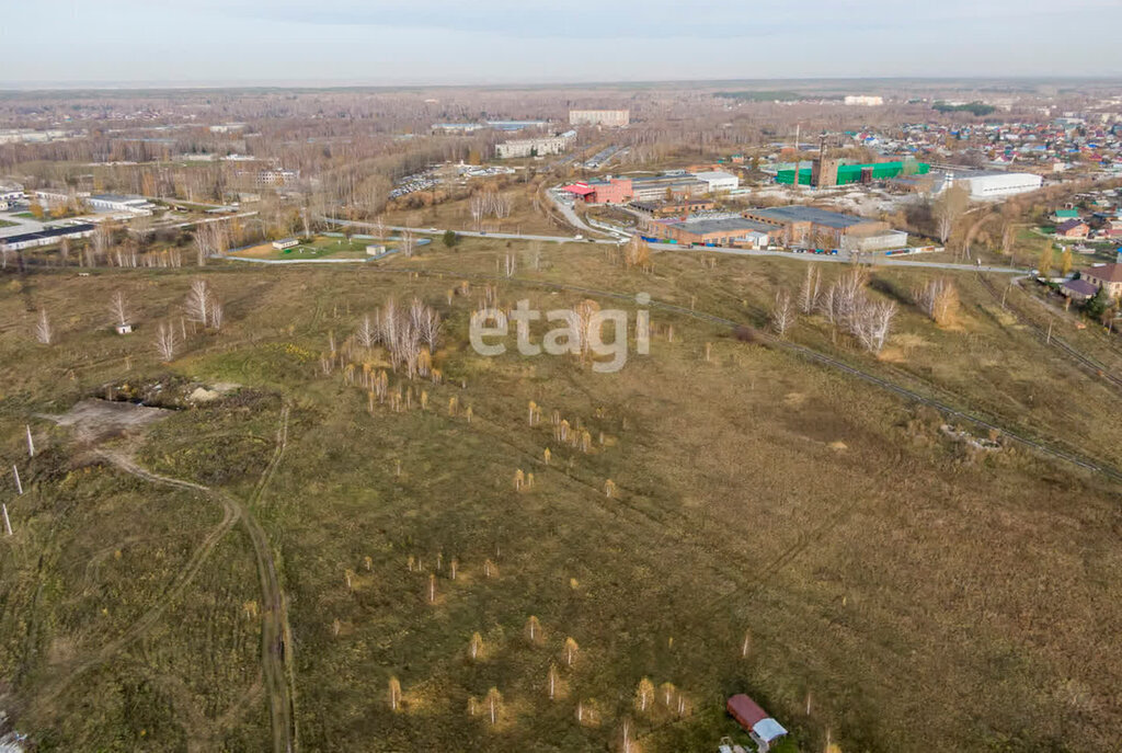 земля р-н Колыванский п Паутовский сельсовет фото 4