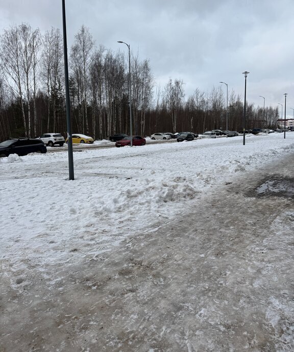 квартира г Санкт-Петербург п Парголово метро Проспект Просвещения ул Михайловская 16к/3 дорога фото 4