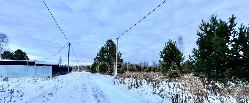 земля р-н Тюменский снт Янтарное ул Центральная 54 ДНТ фото 2