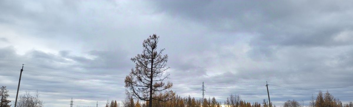 дом г Новый Уренгой Заозерный фото 4