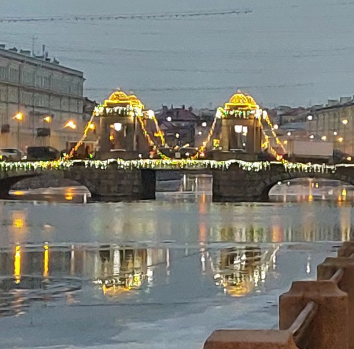 квартира г Санкт-Петербург метро Звенигородская наб Реки Фонтанки 76 Владимирский округ фото 16