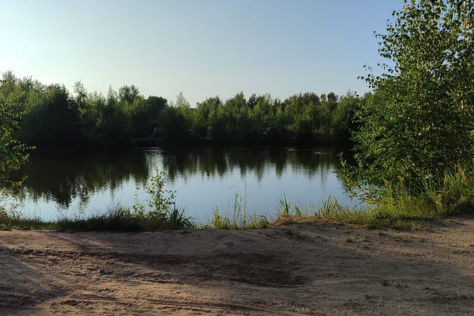 дом городской округ Орехово-Зуевский сад, СНТ Вишнёвый фото 4