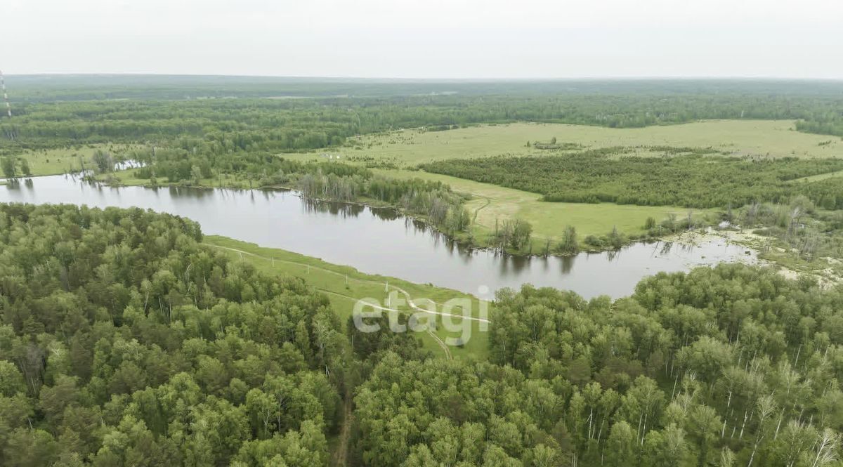 земля р-н Новосибирский п Степной Кубовинский сельсовет, ул. Лесная фото 8