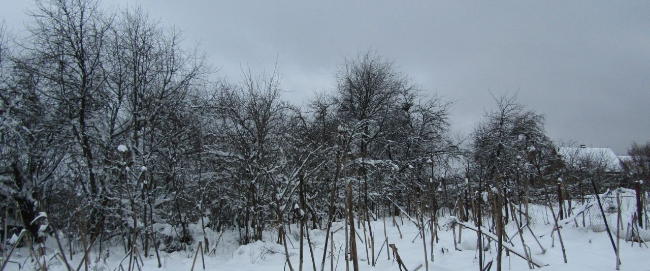 офис городской округ Рузский д Скирманово ул Центральная фото 3