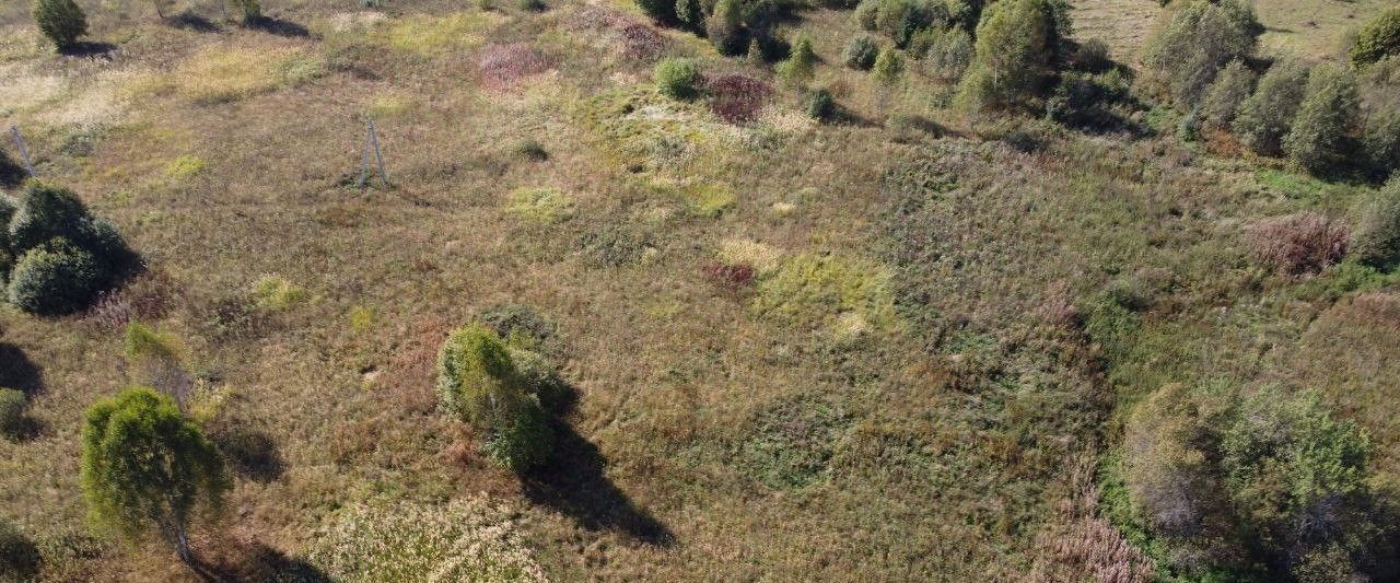 офис городской округ Волоколамский д Чернево фото 2