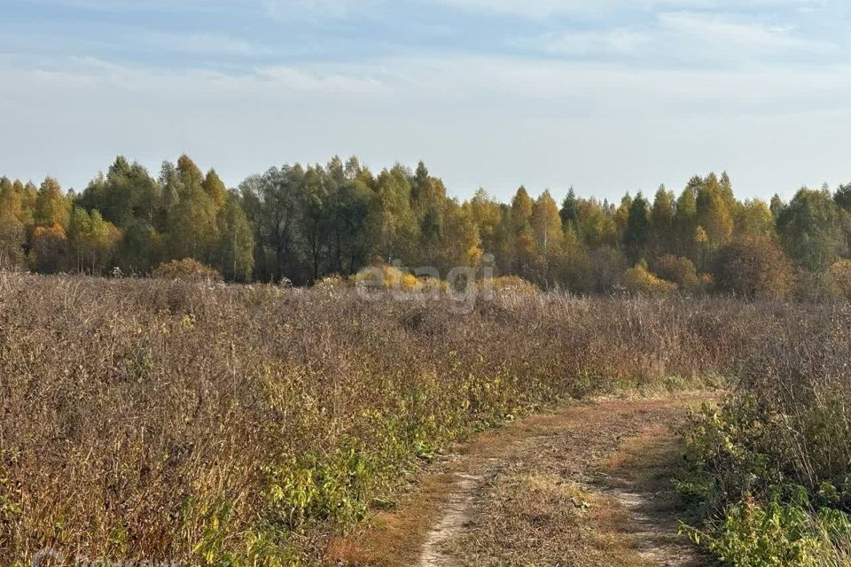 земля Йошкар-Ола городской округ, Акшубино фото 1