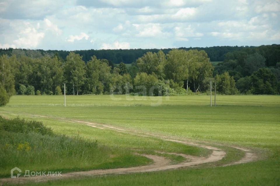 земля р-н Боровский д. Ивановское сп Деревня Совьяки фото 2