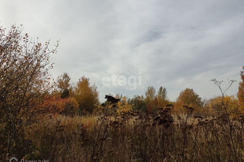 земля р-н Медведевский п Руэм Сад 4 фото 4