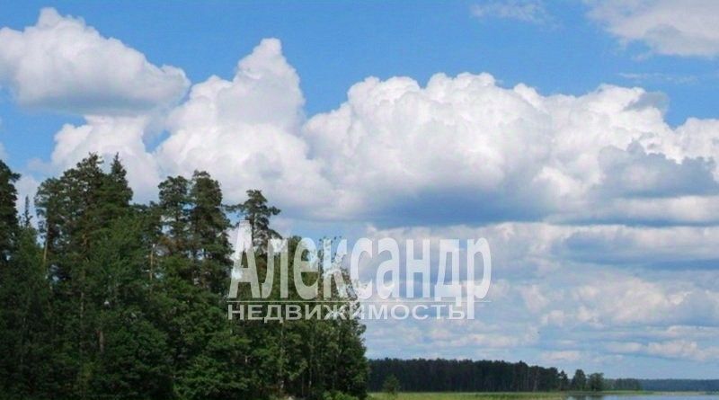 квартира р-н Выборгский п Возрождение Каменногорское городское поселение, 11 фото 12