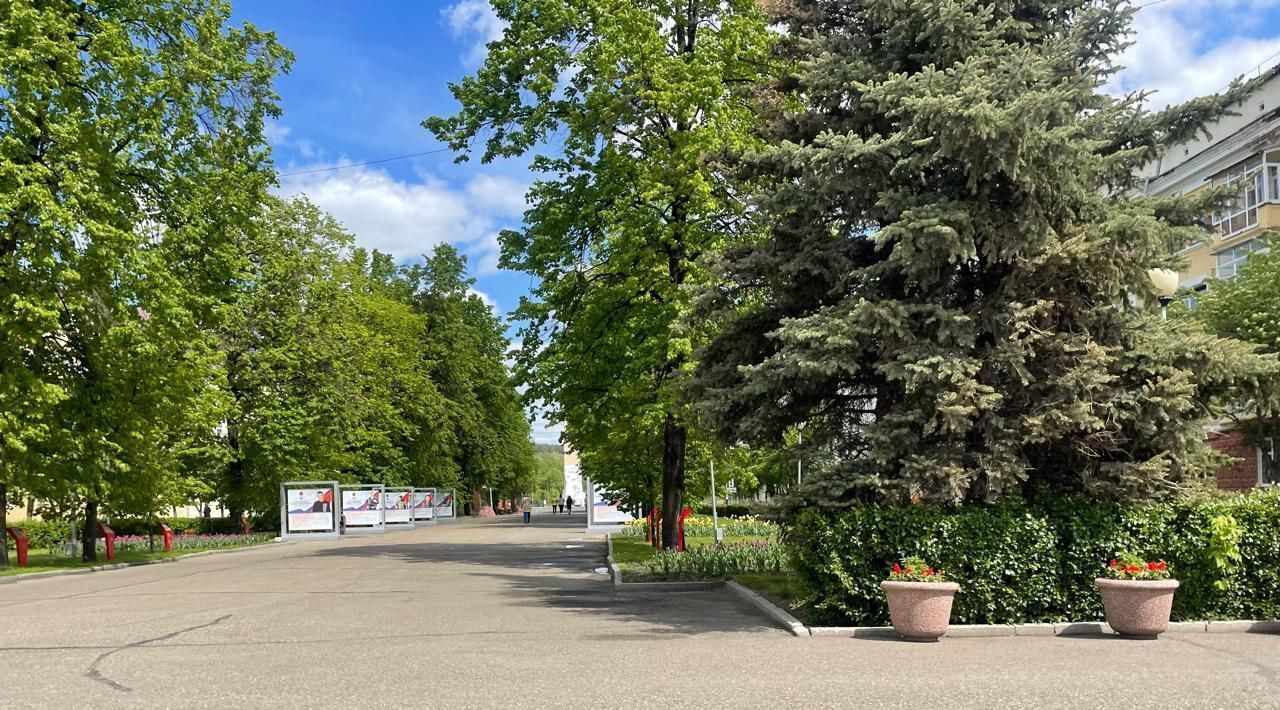 квартира г Кемерово р-н Центральный ул Николая Островского 28 фото 20