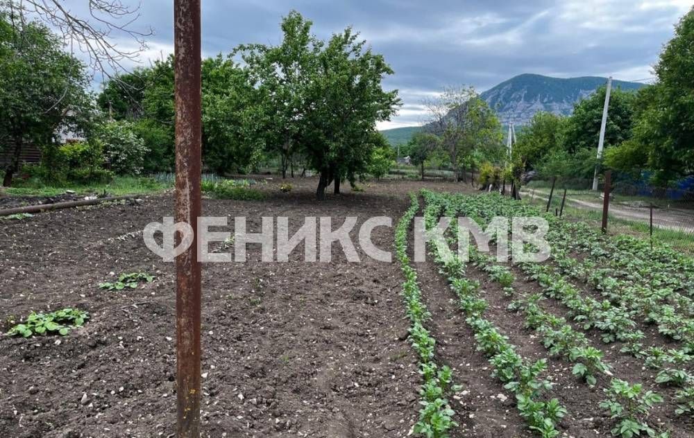 земля р-н Минераловодский п Бородыновка Минеральные Воды фото 3