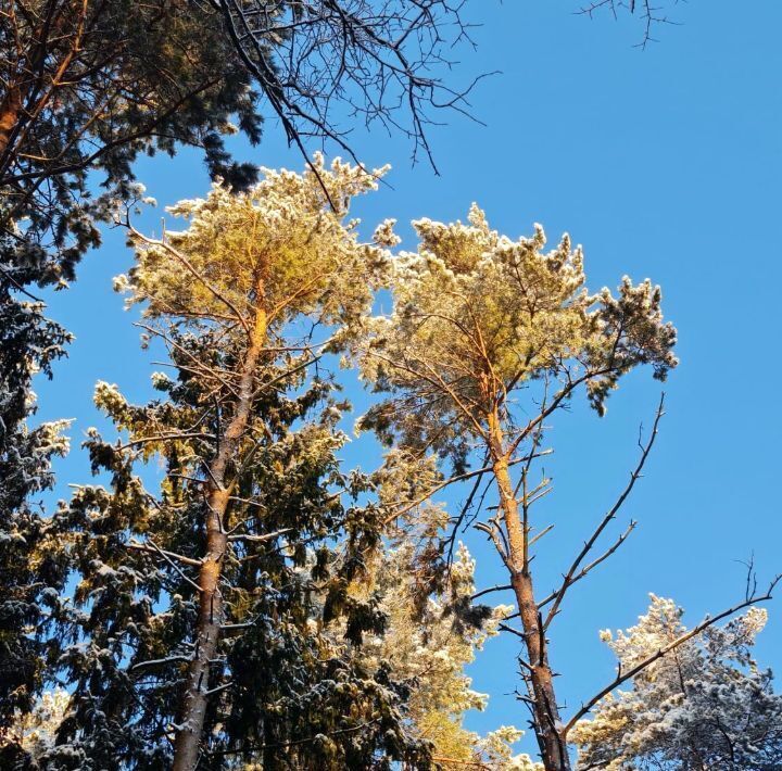 дом городской округ Истра г Дедовск ул Загородная 7 Нахабино фото 2