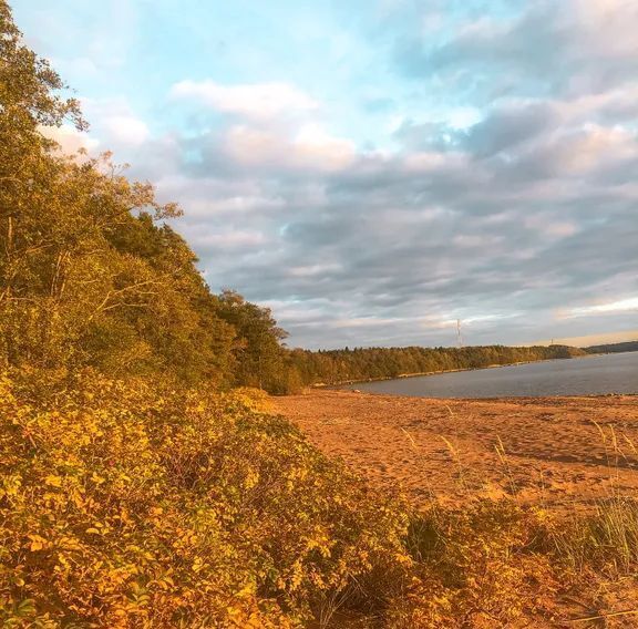 дом р-н Выборгский п Вязы ул Береговая 73 Приморское городское поселение фото 39