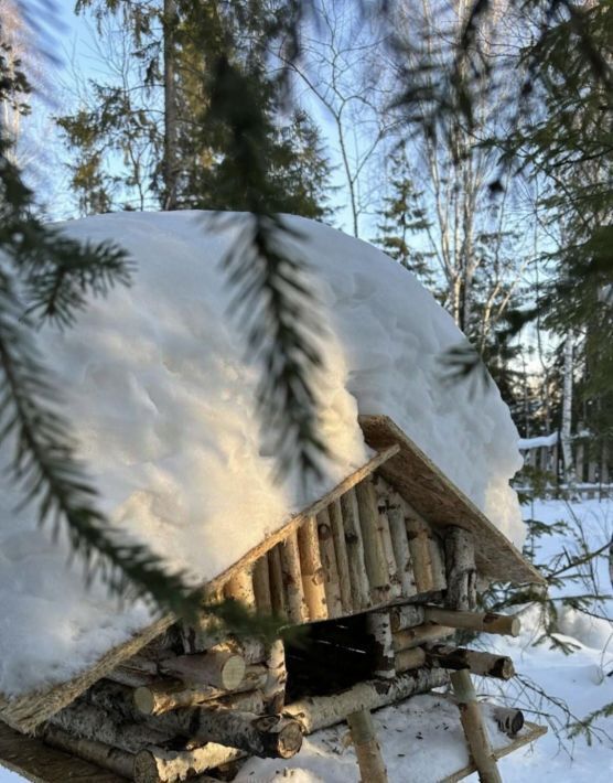 дом г Кировград п Нейво-Рудянка ул Мичурина 48 Кировградский городской округ фото 9