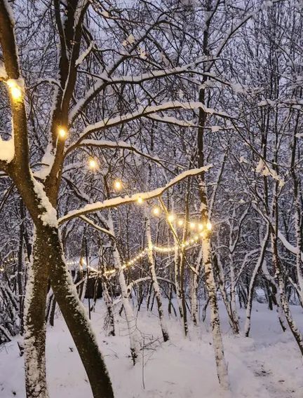 дом городской округ Можайский д Малое Новосурино 41А фото 2