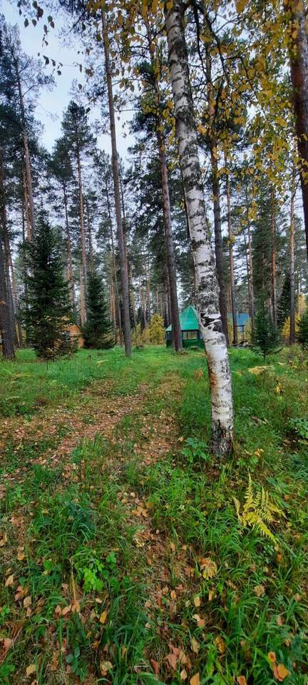 земля р-н Турочакский с Турочак Турочакское сельское поселение фото 10