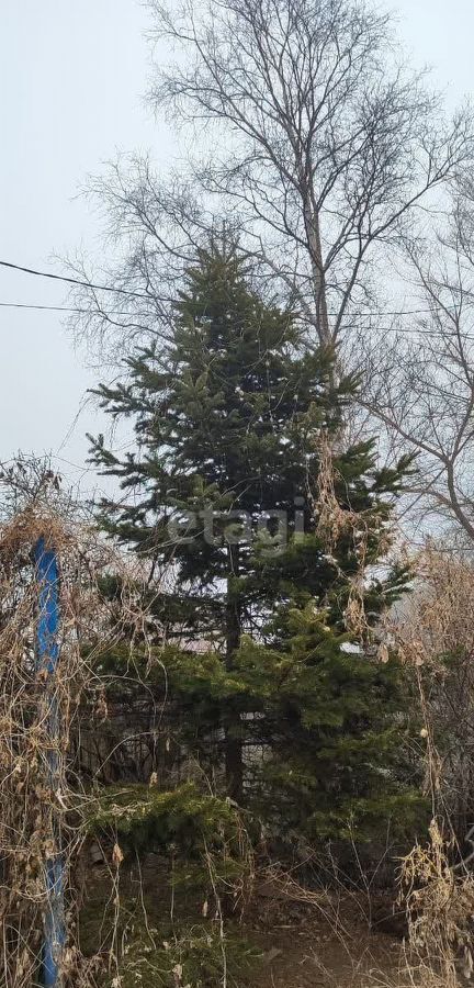 дом г Владивосток п Трудовое ул Лермонтова р-н Советский Советский район фото 18