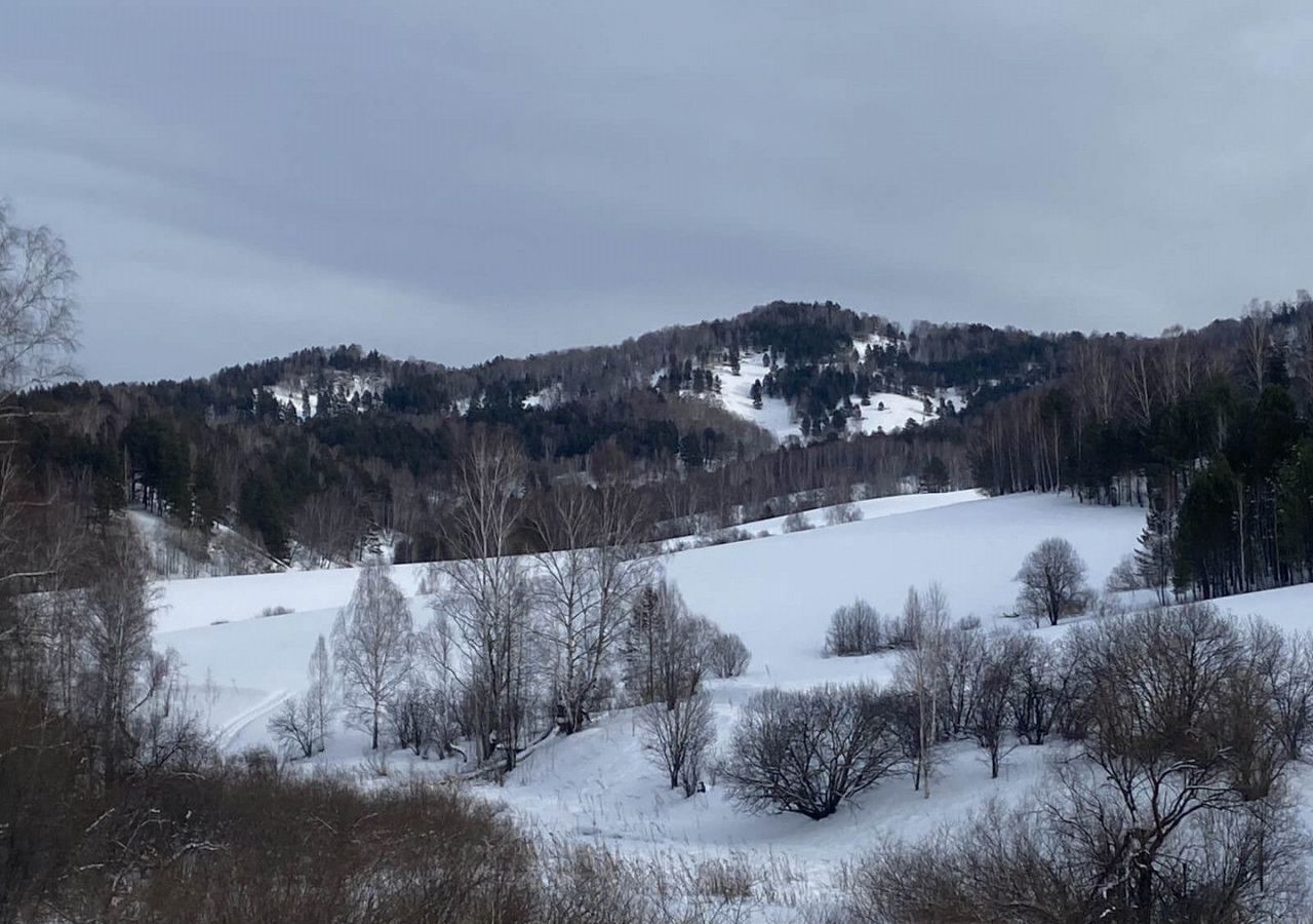 земля р-н Майминский с Бирюля Горно-Алтайск фото 3