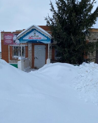 торговое помещение с Новые Тукмаклы ул Центральная 15а Старотукмаклинский сельсовет, Кушнаренково фото