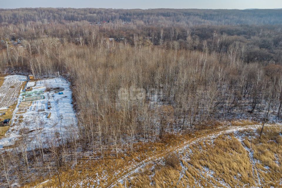 земля р-н Хабаровский с. Восход фото 2