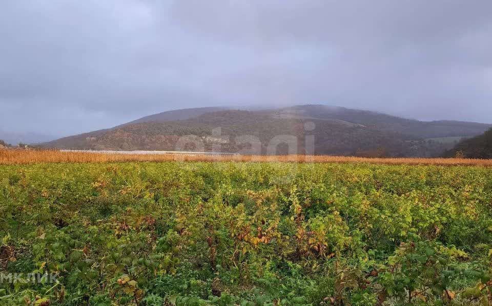 земля г Севастополь р-н Балаклавский фото 3