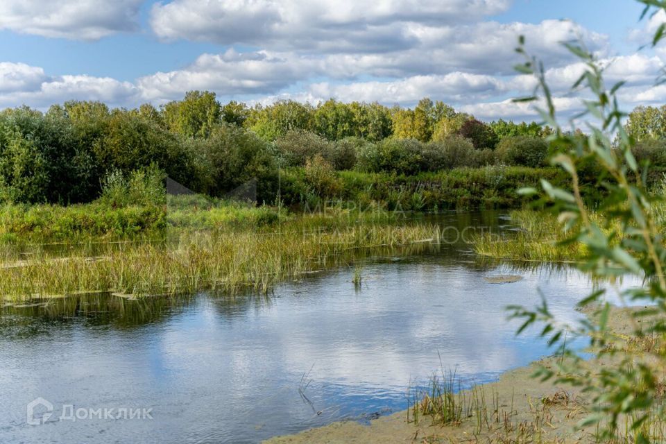 земля р-н Тюменский с. Борки фото 4