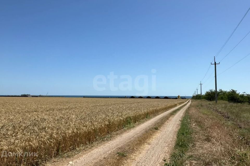 земля р-н Черноморский фото 2