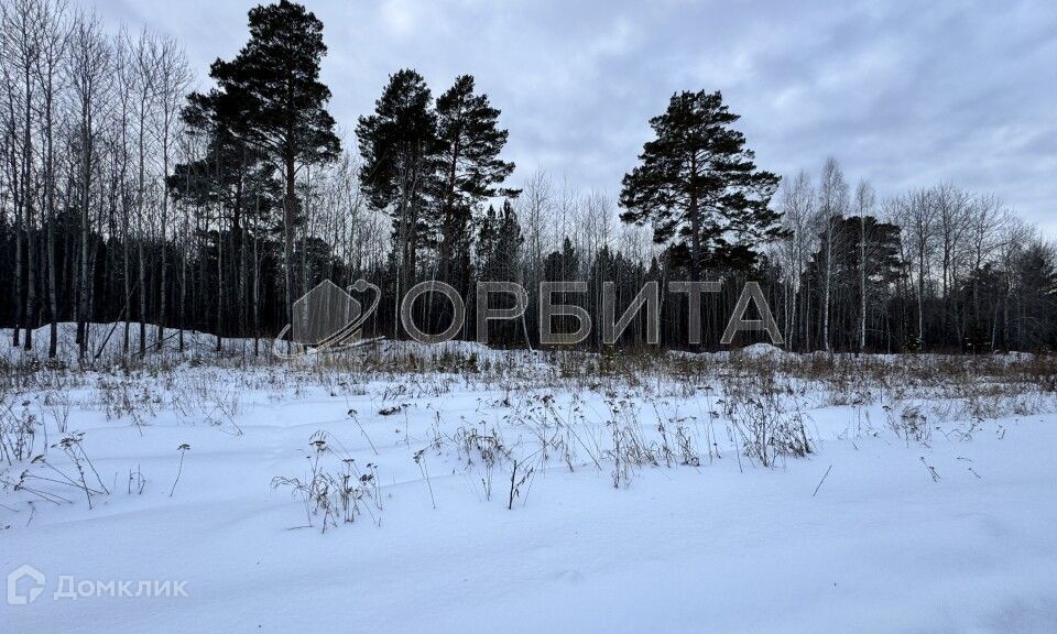 земля р-н Тюменский д. Головина фото 7