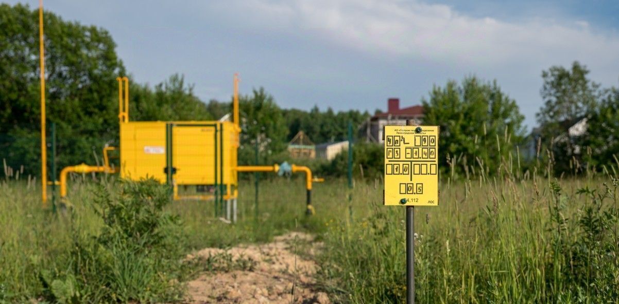 земля р-н Гатчинский д. Горки Веревское территориальное управление, ул. Благодатная фото 6