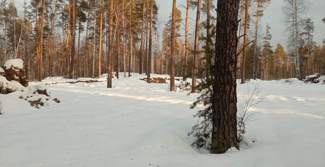 земля г Екатеринбург р-н Чкаловский дп. Кургановский фото 4