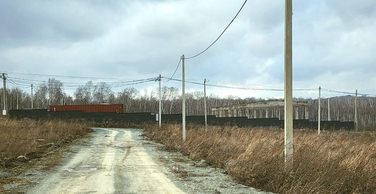 земля р-н Новосибирский Раздольненский сельсовет, Новосибирск фото 4