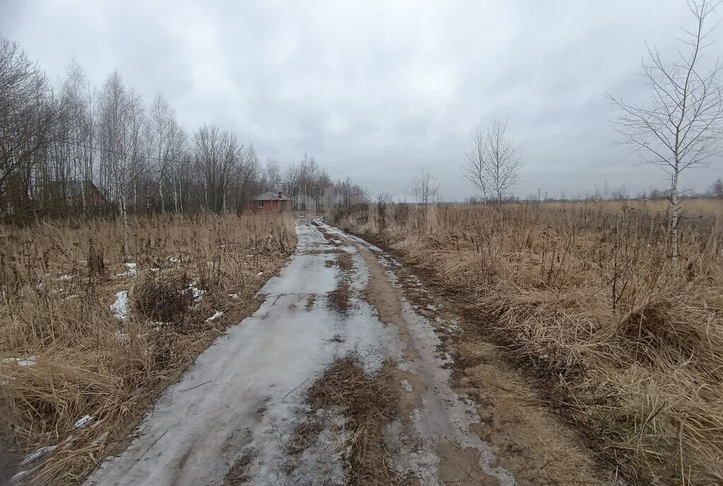 земля городской округ Коломенский с Сергиевское городской округ Коломна фото 3