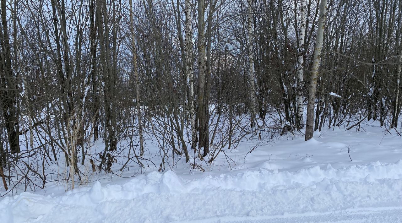 офис городской округ Клин с Борщево фото 4