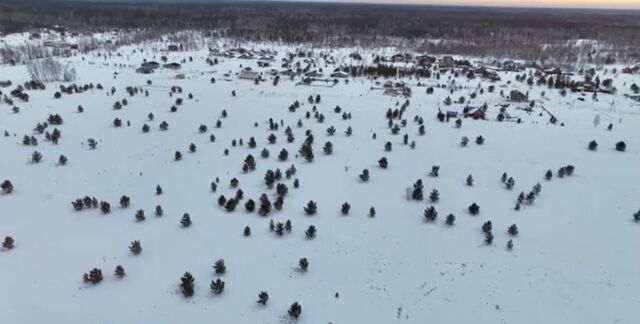 земля с Фирсово ул Пушкина мкр-н Рощино, Барнаул фото