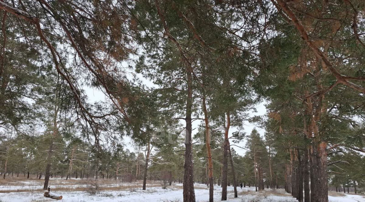 квартира г Волгоград р-н Советский ул. Маршала Воронова, 24 фото 16