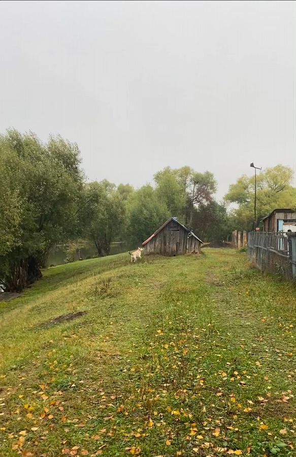 земля р-н Шатковский рп Шатки сельский пос. Светлогорск фото 2