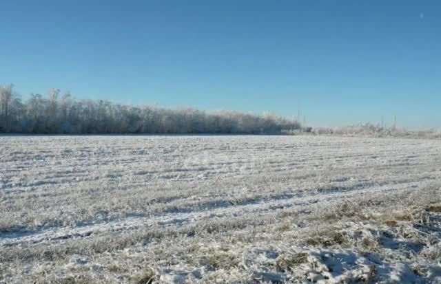 земля с Волково Благовещенск фото