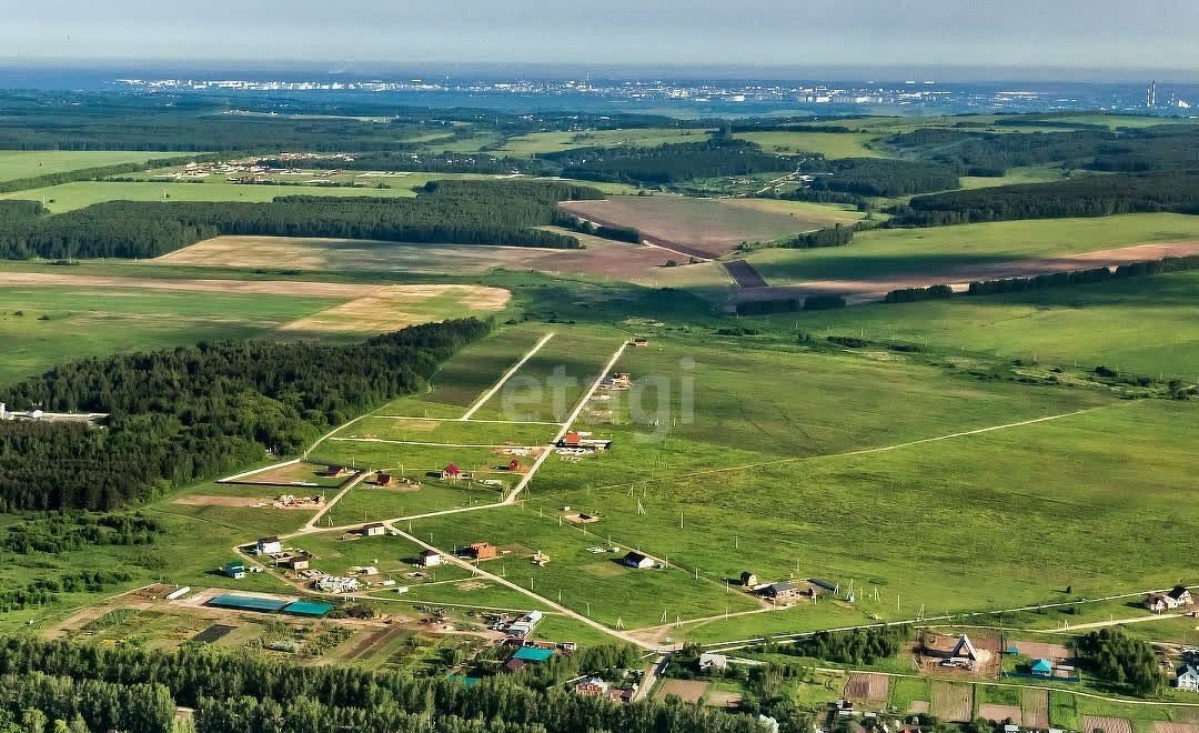 земля р-н Богородский д Березовка Богородск фото 2