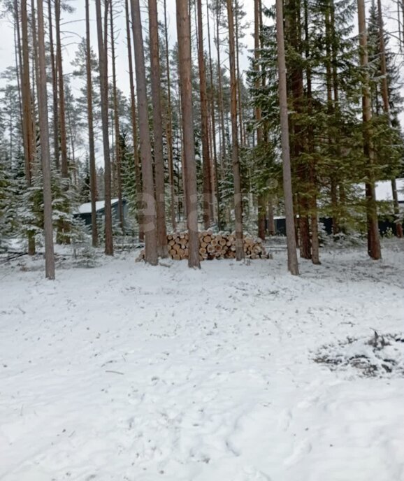 земля Токсовское городское поселение, коттеджный посёлок Экофорест фото 2