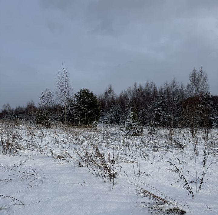 земля городской округ Сергиево-Посадский д Селково фото 17