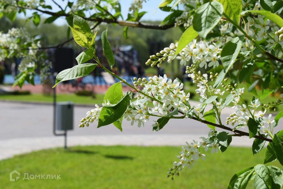 земля городской округ Чехов д. Большое Петровское фото 4