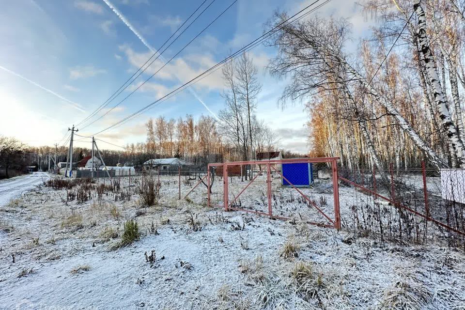 земля Коломна городской округ, СНТ Таёжный фото 3