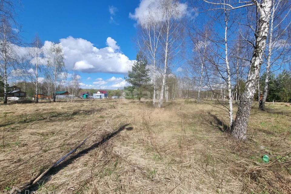 земля Коломна городской округ, д. Малое Карасёво фото 4